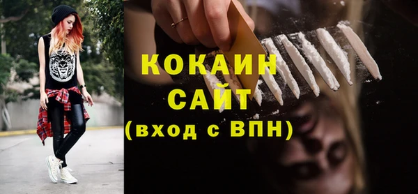 гидра Снежногорск
