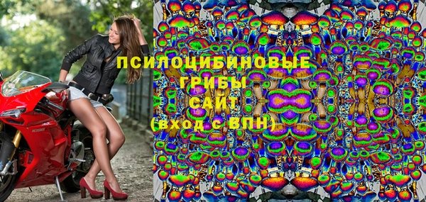 соль ск Снежинск