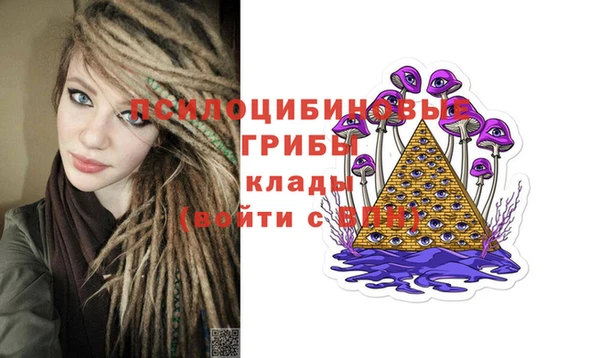 эйфоретик Белокуриха