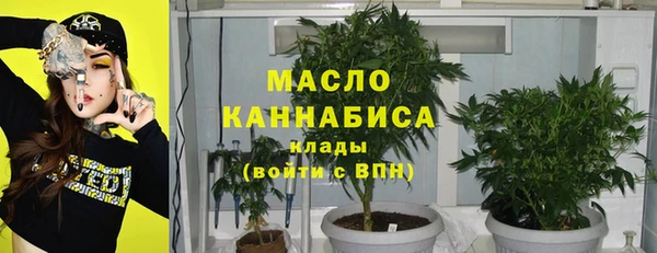 соль ск Снежинск