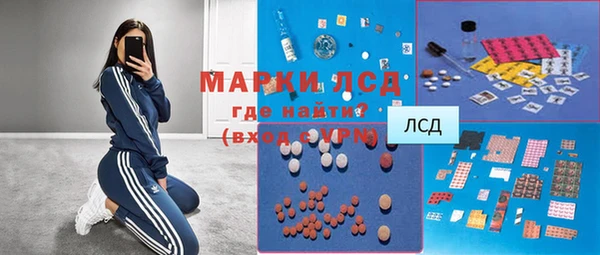 ГАЛЛЮЦИНОГЕННЫЕ ГРИБЫ Баксан