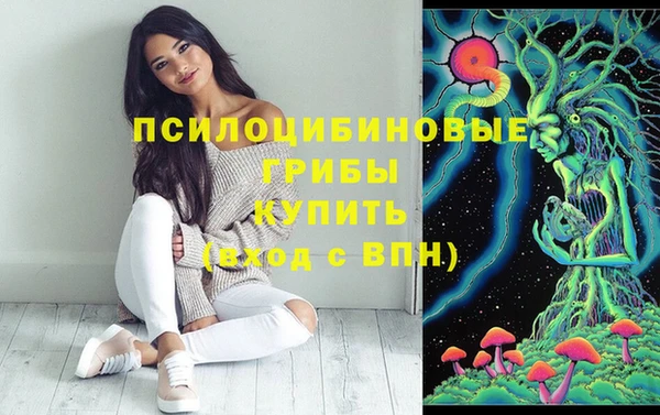 прущие грибы Балабаново