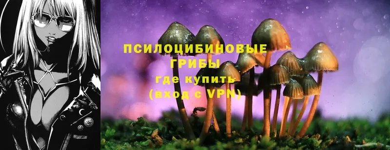 маркетплейс формула  Горняк  Псилоцибиновые грибы Magic Shrooms 