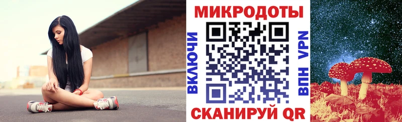 Галлюциногенные грибы Cubensis  Горняк 